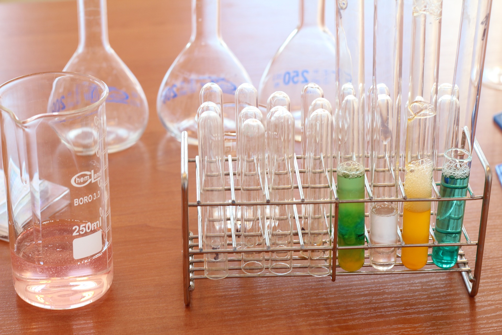lab